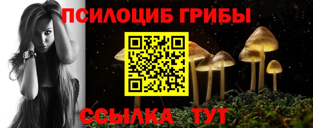 Галлюциногенные грибы Psilocybine cubensis  Вход с VPN  наркота  Полысаево 